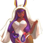  1girl awatark breasts fate/grand_order fate_(series) highres hips hood nitocris_(fate/grand_order) nitocris_(swimsuit_assassin)_(fate) purple_hair simple_background smile solo thighs violet_eyes wide_hips 