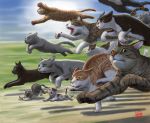  cat commentary_request jumping kitten matataku no_humans original running too_many too_many_cats 