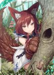  1girl akkijin animal_ears brown_eyes brown_hair cuffs day embarrassed fenrir_(shinkai_no_valkyrie) forest hiding hood nature paws shackles shinkai_no_valkyrie solo squirrel tail tree white_hood wolf_ears wolf_hood wolf_tail 