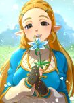  1girl :d bangs blonde_hair blue_sky blush braid day eyebrows fingerless_gloves french_braid gloves grass green_eyes hair_ornament hairclip half-closed_eyes highres looking_at_viewer open_mouth outdoors parted_bangs pointy_ears princess_zelda shiroinuchikusyo sky smile solo sparkle teeth the_legend_of_zelda the_legend_of_zelda:_breath_of_the_wild upper_body 