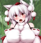  1girl animal_ears bamboo bamboo_forest bare_shoulders blush breasts detached_sleeves fangs forest hat impossible_clothes impossible_shirt inubashiri_momiji large_breasts looking_at_viewer monaka_(gatinemiku) nature outdoors pom_pom_(clothes) red_eyes ribbon-trimmed_sleeves ribbon_trim shirt short_hair silver_hair solo tail tokin_hat touhou wide_sleeves wolf_ears wolf_tail 