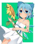  1girl alternate_costume blue_bow blue_eyes blue_hair blush bow cirno closed_mouth cowboy_shot dress dutch_angle flower hair_bow highres holding holding_flower ice ice_wings karasusou_nano long_hair looking_at_viewer multicolored multicolored_background short_hair solo sunflower tan tanned_cirno touhou two-tone_background white_dress wings 