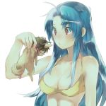  1boy 1girl ahoge aisutabetao animal animalization bare_shoulders bikini blue_hair blush_stickers breasts chibi chidori_kaname cleavage collar dog full_metal_panic! holding holding_animal long_hair medium_breasts red_eyes sagara_sousuke spiked_collar spikes swimsuit upper_body white_background yellow_bikini 