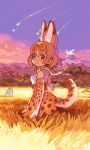  :3 animal_ears blue_sky blush bow bowtie clouds cloudy_sky day elbow_gloves from_side fur_collar gloves grass high-waist_skirt highres kemono_friends orange_bow orange_bowtie orange_eyes orange_gloves orange_hair outdoors sandstar savanna_striped_giant_slug_(kemono_friends) savannah serval_(kemono_friends) serval_ears serval_print serval_tail shirt short_hair skirt sky sleeveless sleeveless_shirt solo_focus standing striped_tail sunrise tail tomohi vulcan 