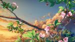  blue_sky branch cherry_blossoms close-up clouds cloudy_sky day leaf no_humans original outdoors scenery sky still_life sunrise tree yuu_knmy 