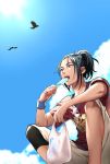  1boy bag bird black_hair blue_eyes blue_sky clenched_hand clouds dog_tags food from_below haru_(no_thank_you!!!) high_ponytail holding male_focus no_thank_you!!! open_mouth plastic_bag popsicle red_shirt shirt shorts sitting sky solo t-shirt 