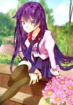  1girl 2mota bakemonogatari flower long_hair monogatari_(series) purple_hair school_uniform senjougahara_hitagi sitting thigh-highs violet_eyes 
