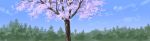  absurdres blue_sky cherry_blossoms clouds commentary_request day forest highres hirota_(masasiv3) long_image nature no_humans outdoors panorama scenery sky tree wide_image 
