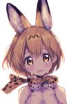  1girl animal_ears blurry blush bow bowtie crying crying_with_eyes_open depth_of_field highres kemono_friends serval_(kemono_friends) serval_ears serval_print sleeveless solo tears upper_body wavy_mouth white_background woga_(ogkntk) yellow_eyes 