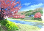  barn blue_sky cherry_blossoms clouds commentary_request day flower grass highres hill hirota_(masasiv3) nature no_humans outdoors river scenery sky stairs tree 