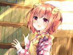  1girl apron bangs blush book brown_eyes brown_hair checkered eyebrows_visible_through_hair hair_bobbles hair_ornament indoors karasusou_nano long_sleeves looking_at_viewer motoori_kosuzu open_mouth shelf solo sunlight touhou twintails upper_body window yellow_apron 