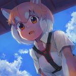  1girl animal_ears artist_name blue_sky brown_eyes brown_hair character_request clouds dog_ears fang from_below hanada_(cobalt003) japari_symbol kemono_friends looking_at_viewer multicolored_hair open_mouth short_hair short_sleeves sky solo two-tone_hair white_hair 