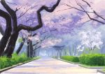 blue_sky bush cherry_blossoms commentary day gate grass highres hirota_(masasiv3) no_humans outdoors path road scenery sky tree 