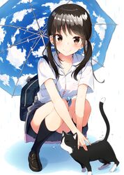  1girl black_hair bra brown_eyes cat clouds eyebrows_visible_through_hair fisheye highres long_hair looking_at_viewer low_twintails original panties pantyshot pantyshot_(squatting) rain sakuragi_ren school_uniform shirt smile solo squatting twintails umbrella underwear white_shirt 