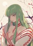  1girl bare_shoulders breasts c.c. cleavage code_geass collarbone eyebrows_visible_through_hair fringe green_hair large_breasts long_hair looking_at_viewer parted_lips yellow_eyes 