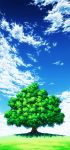  aoha_(twintail) blue_sky clouds cloudy_sky day field grass highres hill no_humans outdoors scenery shade sky tree 
