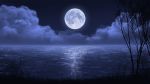  clouds commentary grass lake mclelun moon night night_sky no_humans outdoors scenery sky tree 