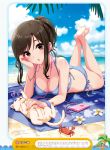  1girl artist_request ass bare_legs barefoot beach bikini bird blue_bikini blue_sky breasts brown_eyes brown_hair cat chin_rest cleavage clouds cloudy_sky crab day dengeki_moeou digital_media_player earphones earphones flower halterneck highres legs_crossed lying medium_breasts mole mole_under_eye on_stomach outdoors parted_lips petting side-tie_bikini sidelocks sky solo swimsuit wet wet_hair 