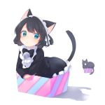  1girl :&lt; animal_ears bell black_hair blue_eyes blush bow box cat_ears cat_tail curly_hair cyan_(show_by_rock!!) dress gothic_lolita highres in_box in_container kyuuri_(miyako) lolita_fashion maid_headdress show_by_rock!! solo tail 