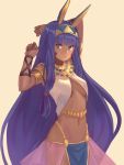  1girl animal_ears arms_up bangs blue_eyes blue_hair breasts closed_mouth commentary cowboy_shot dark_skin facial_mark fate/grand_order fate_(series) hair_tubes hand_behind_head jewelry long_hair looking_at_viewer medium_breasts navel nitocris_(fate/grand_order) peroncho rabbit_ears simple_background solo standing very_long_hair yellow_background 