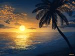  beach clouds cloudy_sky commentary horizon making_of mclelun no_humans ocean outdoors palm_tree reflection scenery shore signature sky sun sunset tree twilight 