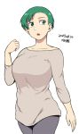  1girl breasts collarbone dated green_eyes green_hair large_breasts long_sleeves original short_hair solo tsukudani_(coke-buta) 