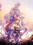  1girl animal_ears azure_(kireiazure) blue_legwear breasts cleavage clouds cloudy_sky detached_sleeves fate/extra fate_(series) fox_ears fox_tail hair_ribbon highres japanese_clothes large_breasts long_hair nature obi outdoors pink_hair ribbon sash sky solo tail tamamo_(fate)_(all) tamamo_no_mae_(fate) twilight yellow_eyes 