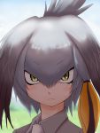  1girl blurry close-up closed_mouth commentary_request depth_of_field expressionless eyebrows_visible_through_hair hair_between_eyes head_wings highres ikkyuu kemono_friends looking_at_viewer low_ponytail necktie portrait revision shoebill_(kemono_friends) side_ponytail silver_hair solo wing_collar 