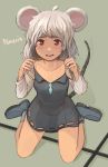  1girl animal_ears full_body grey_hair highres looking_at_viewer mouse_ears mouse_tail nazrin permanentlow red_eyes short_hair solo tail touhou 