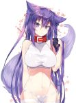  1girl animal_ears bare_arms bare_shoulders breasts cowboy_shot highres impossible_clothes kasuka_(kusuki) large_breasts long_hair looking_at_viewer navel original panties purple_hair red_collar solo tail taut_clothes underwear very_long_hair violet_eyes white_background white_legwear white_panties wolf_ears wolf_tail 