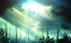  bush dappled_sunlight day forest mikamin nature no_humans original outdoors plant scenery sunlight tree 