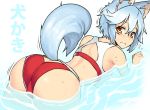  1girl animal_ears ass bent_over blue_hair blush competition_swimsuit flying_sweatdrops inubashiri_momiji looking_at_viewer one-piece_swimsuit red_eyes red_swimsuit short_hair solo swimsuit tail taketora_suzume touhou water white_hair wolf_ears wolf_tail yellow_eyes 