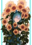  1girl bangs bare_arms blue_background blue_bow blue_dress blue_eyes blue_hair bow cirno commentary dress flower grin hair_bow highres holding holding_flower looking_at_viewer mefomefo red_ribbon ribbon short_hair smile solo standing sunflower teeth touhou two-tone_background white_background 