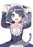  +_+ 1girl :3 :d absurdres animal_ears arms_up bangs bell black_dress black_hair blush bow cat_ears cat_girl cat_tail collar curly_hair cyan_(show_by_rock!!) dress ear_grab eyebrows_visible_through_hair frilled_collar frilled_dress frills green_eyes hairband highres jingle_bell lolita_hairband long_hair long_sleeves looking_at_viewer open_mouth pink_bow ribbon show_by_rock!! simple_background smile solo sunlight tail tareme upper_body white_background white_ribbon xiaosamiao 