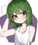  1girl antennae bangs blush breasts closed_mouth eyebrows_visible_through_hair green_eyes green_hair highres nagai_riku one-hour_drawing_challenge shirt short_hair sleeveless sleeveless_shirt small_breasts solo sweatdrop tomboy touhou white_background white_shirt wriggle_nightbug 