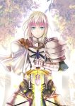  1girl bedivere blue_eyes day excalibur fate/stay_night fate_(series) hair_between_eyes holding holding_sword holding_weapon kujira_jio long_hair outdoors silver_hair solo spaulders standing sword weapon 