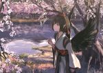  1girl black_hair black_wings blue_eyes day feathered_wings hat kourindou_tengu_costume lake long_sleeves outdoors saltlaver sash shameimaru_aya short_hair solo spring_(season) standing tokin_hat touhou tree water wide_sleeves wings 