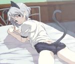  bed bloomers buruma cat_ears gym_uniform lying negoro_shuujirou sanya_v_litvyak short_hair silver_hair strike_witches tail 