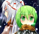  antenna antennae bow fujiwara_no_mokou green_eyes green_hair hair_bow midori_(misuriru8) midori_(pixiv76139) multiple_girls red_eyes scarf silver_hair snow touhou wriggle_nightbug 