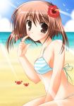  bikini brown_eyes brown_hair nanaroba_hana ocean short_hair striped striped_bikini striped_swimsuit swimsuit water 