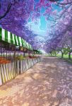  angelmaster arsenixc branch cherry_blossoms commentary_request day food fruit grass highres no_humans outdoors park path road scenery shadow tree tree_shade watermark 
