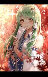  1girl autumn_leaves bangs blurry blush brown_eyes closed_mouth depth_of_field detached_sleeves eyebrows_visible_through_hair frog_hair_ornament gohei green_hair hair_ornament hair_tubes highres holding kochiya_sanae leaf letterboxed light_rays long_hair long_sleeves looking_at_viewer maple_leaf sidelocks smile snake_hair_ornament solo sunbeam sunlight touhou tsukiriran upper_body wide_sleeves 