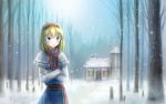  1girl aihashi_i alice_margatroid blonde_hair blue_eyes blush capelet crossed_arms dress forest house looking_at_viewer nature scenery snow touhou 