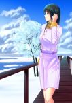  1girl aqua_eyes black_hair blue_sky breasts clouds day dock hand_in_hair hand_up highres hosoimouto lake long_hair looking_to_the_side medium_breasts railing sky snow solo standing tree winter 