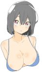  1girl absurdres bikini_top black_hair blue_bikini_top breasts cleavage closed_mouth donguri_suzume hair_between_eyes highres large_breasts looking_at_viewer original short_hair simple_background solo upper_body violet_eyes white_background 