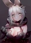  1girl animal_ears bangs black_gloves blush breasts cleavage closed_mouth collar elbow_gloves elphelt_valentine eyebrows_visible_through_hair girls_frontline gloves grey_eyes grey_hair guilty_gear guilty_gear_xrd hanato_(seonoaiko) hand_on_own_chest hand_up large_breasts looking_at_viewer short_hair sidelocks smile solo tank_top upper_body 
