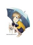  1girl blonde_hair blue_eyes chihuahua closed_mouth dog holding holding_umbrella long_sleeves looking_at_viewer misoni_comi original scarf shirt shoes short_hair shorts simple_background solo squatting umbrella water_drop watermark white_background white_scarf yellow_shirt 
