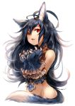  1girl animal_ears bare_shoulders big_hair blue_hair bound bound_wrists claws collar commentary_request fang fenrir_(shingeki_no_bahamut) granblue_fantasy hair_between_eyes highres long_hair looking_at_viewer parted_lips paws red_eyes shingeki_no_bahamut simple_background solo sukemyon tail upper_body very_long_hair white_background wolf_ears wolf_tail 
