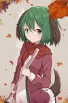  1girl absurdres afensorm animal_ears autumn_leaves bangs blurry blurry_foreground broom brown_dress closed_mouth dog_ears dog_tail dress falling_leaves green_eyes green_hair highres holding holding_broom kasodani_kyouko leaf long_sleeves looking_at_viewer red_scarf scarf short_hair simple_background skirt solo tail touhou white_skirt 