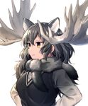  1girl animal_ears antlers brown_eyes extra_ears fur_collar gradient_eyes grey_hair kemono_friends long_hair moose_(kemono_friends) moose_ears multicolored multicolored_eyes simple_background solo standing warabimochi_kinako 